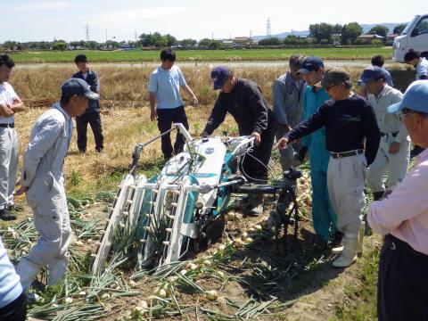 玉ねぎ収穫機
