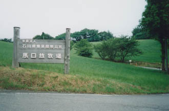 辰口放牧場