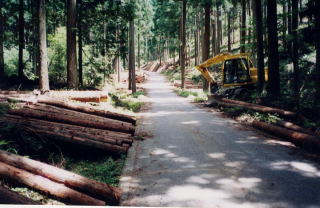 安全かつ効率的な林業を支える林道