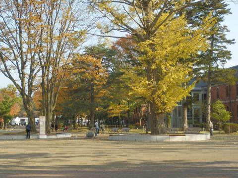 四高記念公園の広場