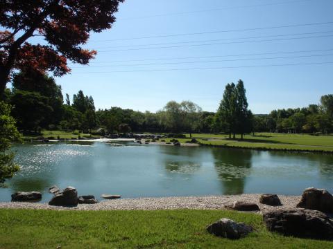 北部公園ひごいの池