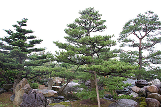 石川県 第7回 平成25年6月28日