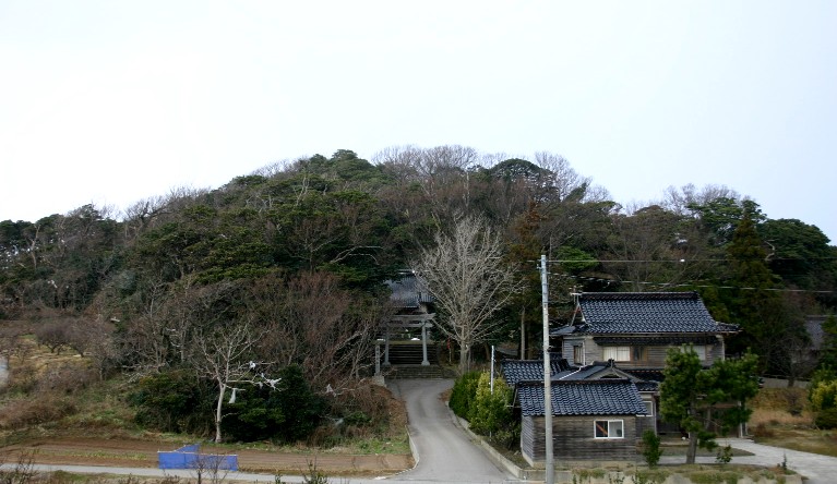 藤懸神社社叢ケヤキ林