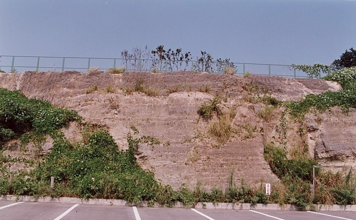 岩屋化石層
