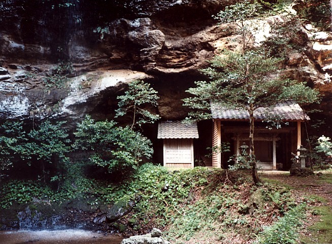 滝神社社叢スダジイ林1