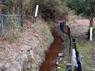 ホクリクサンショウウオ生息地2