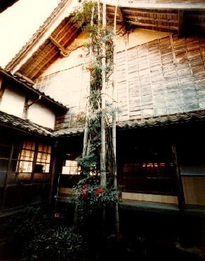 妙法輪寺のナンテン