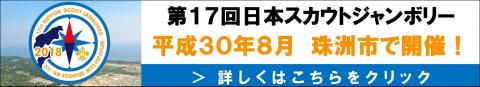 17NSJバナー
