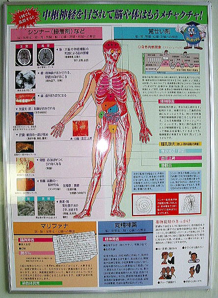 覚せい剤の作用を示したパネル