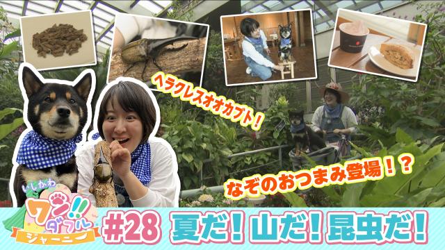 ktk7月分