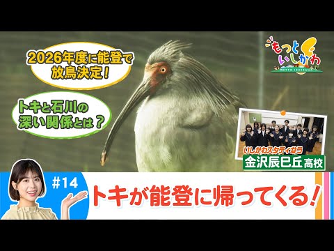 0526_mottoishikawa