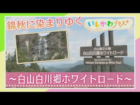 1008_ishikawaplus