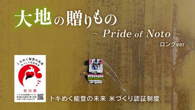 認証米ロング