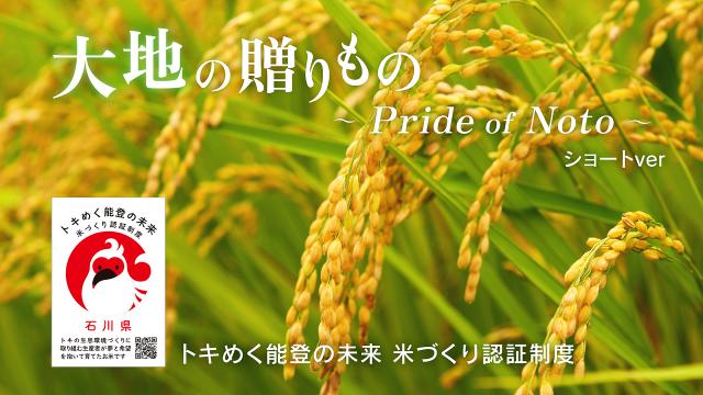 認証米ショート
