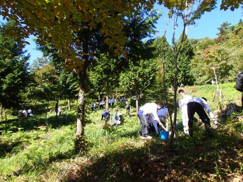 企業の森づくり