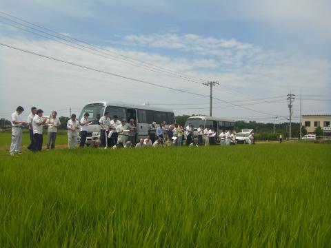 能登やさしいたんぼづくり運動