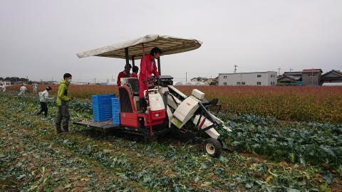 スマ農ブロッコリー収穫機
