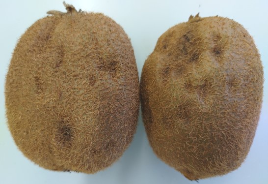 果実のえくぼ症状