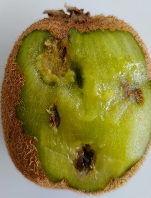 陥没周縁部