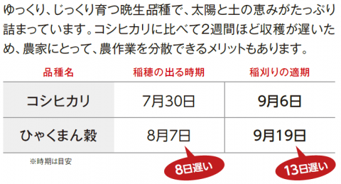 じっくり、ゆっくり育つ晩生品種で、太陽と土の恵みがたっぷり詰まっています。コシヒカリより2週間ほど遅い収穫で、農作業も分散可能。