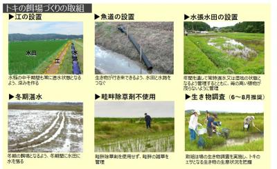 essabadukurinotorikumi