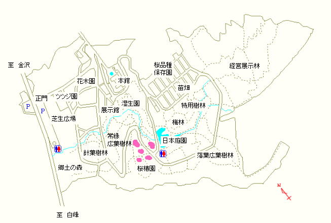 桜椿園から日本庭園にかけて