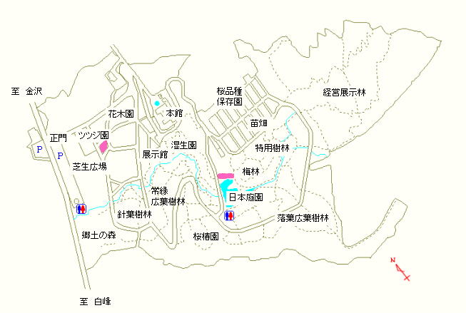 ツツジ園および日本庭園周辺