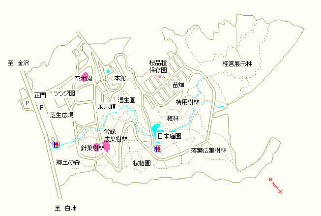 花木園、針葉樹林および常緑広葉樹林