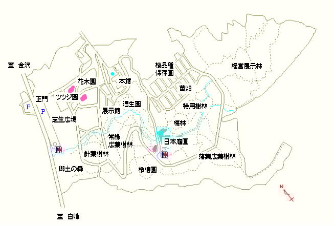 ツツジ園および日本庭園周辺