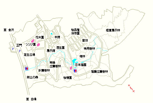 ツツジ園および日本庭園周辺