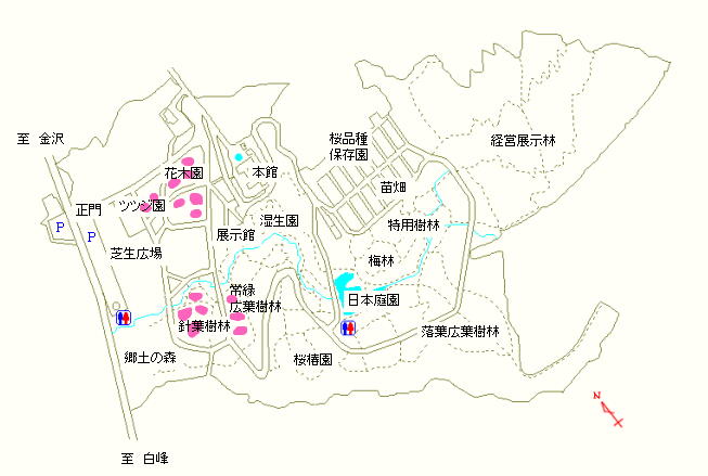 花木園、ツツジ園、針葉樹林および常緑広葉樹林