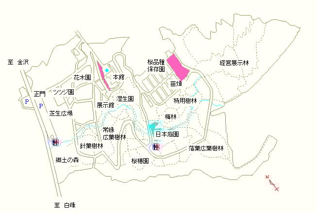 本館周辺および苗畑