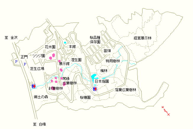 ツツジ園、展示館周辺、針葉樹林および常緑広葉樹林