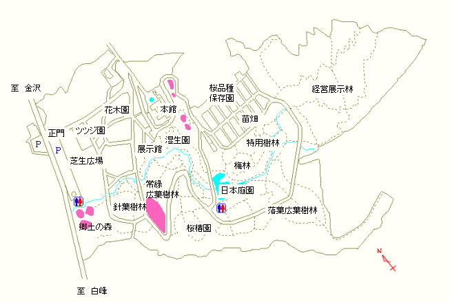 郷土の森、常緑広葉樹林および本館周辺