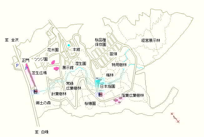 駐車場、ツツジ園および落葉広葉樹林