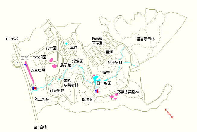 駐車場、ツツジ園および落葉広葉樹林