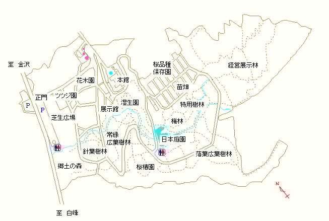 花木園周辺の駐車場沿い