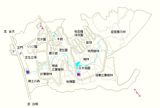 花木園周辺の駐車場沿い