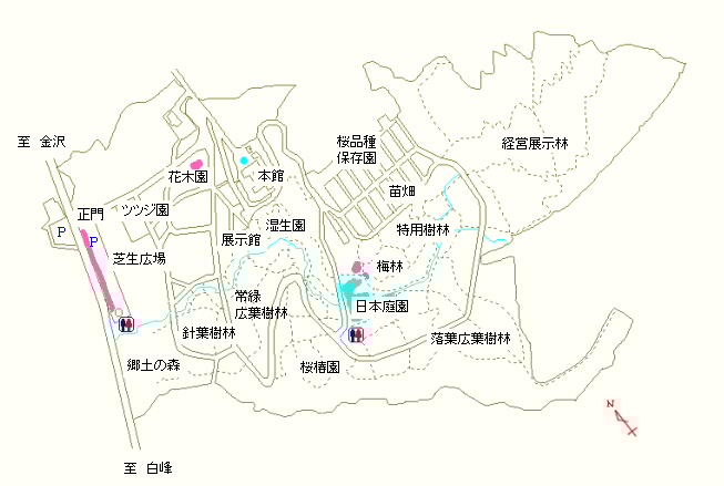 駐車場、花木園および日本庭園