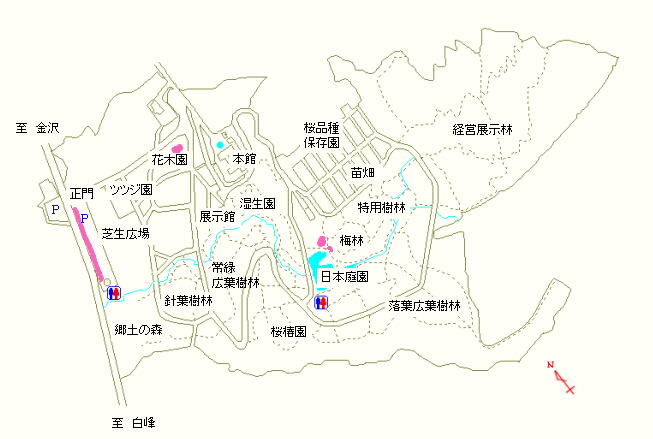 駐車場、花木園および日本庭園