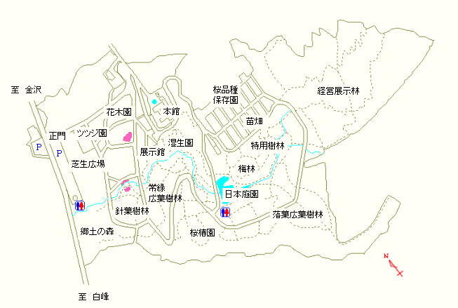 花木園から針葉樹林にかけての道沿い