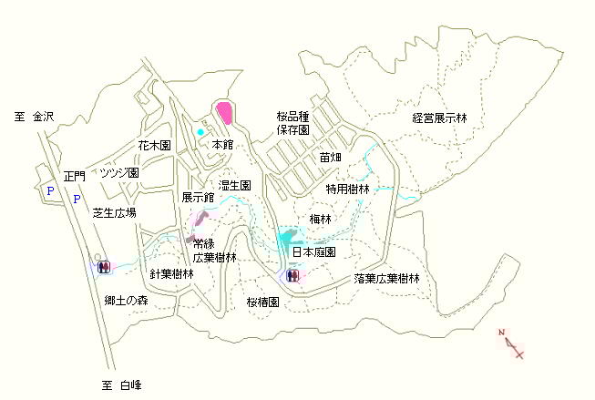 本館周辺および常緑広葉樹林