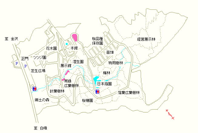 本館周辺および常緑広葉樹林