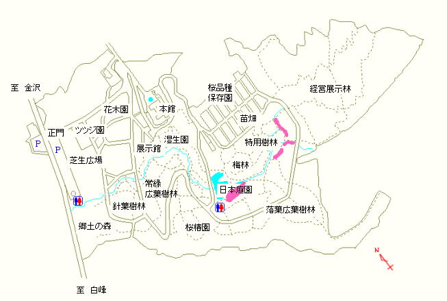 日本庭園および特用樹林