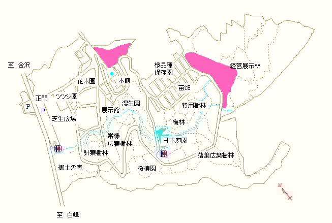 本館周辺および苗畑