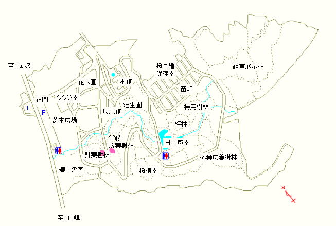 針葉樹林および常緑広葉樹林