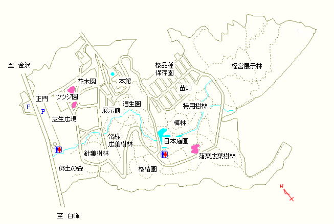 ツツジ園および落葉広葉樹林