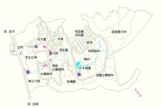 展示館周辺、針葉樹林および常緑広葉樹林