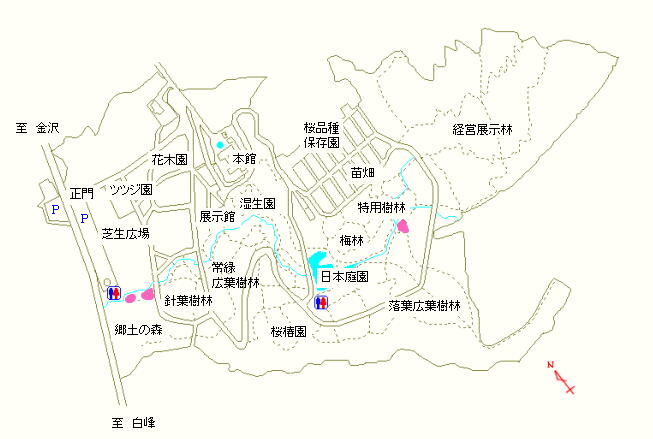 郷土の森および特用樹林