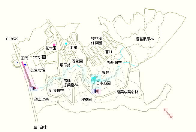 駐車場および花木園
